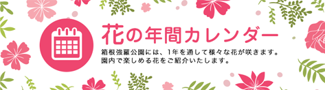 花の年間カレンダー