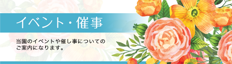 イベント・催事